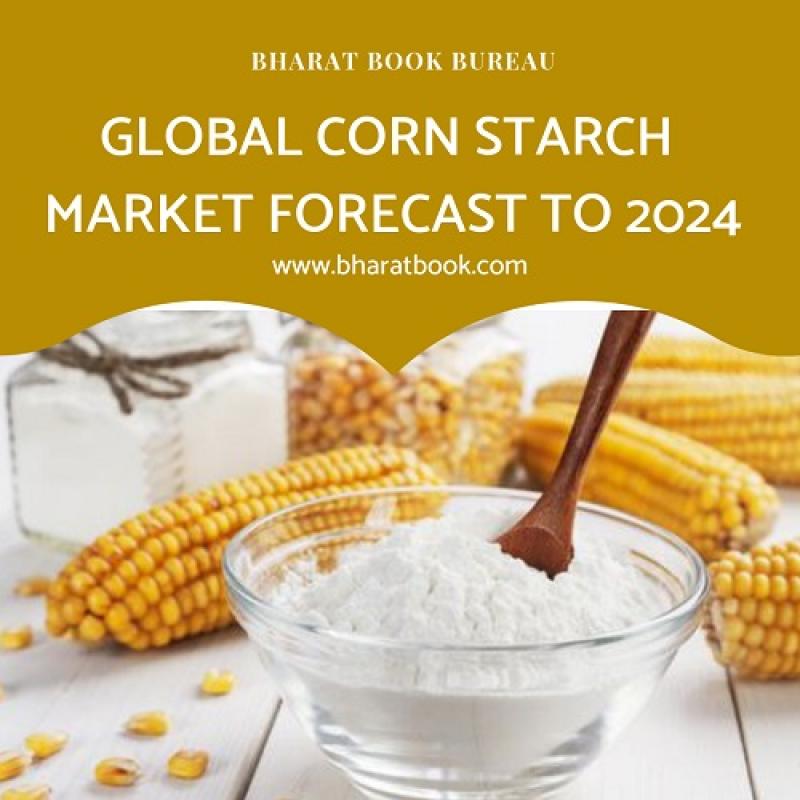   Corn Starch Market 