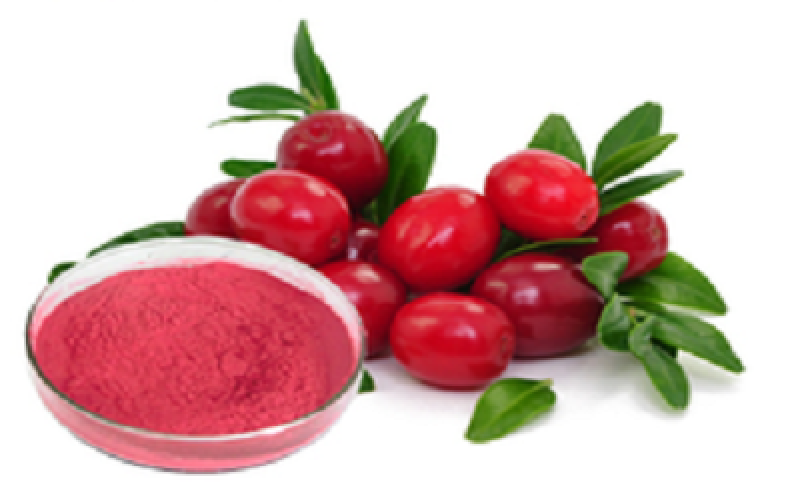 Cranberry Extracts