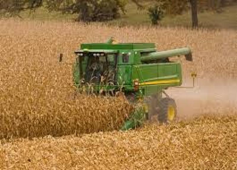 Crop Grain Harvesting Machinery Market Insights 2019 Crop Grain Harvesting Machinery