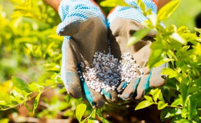 Crop Micronutrients Market