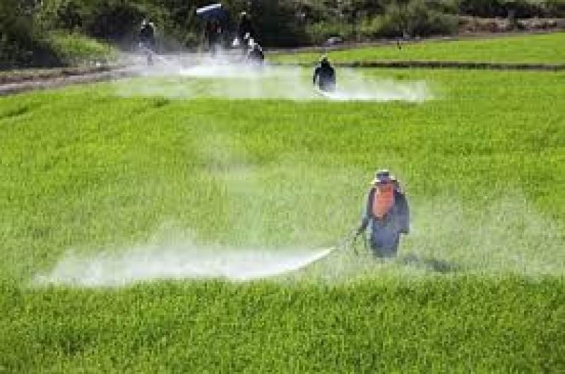 Crop Protection (Agrochemicals) Market Forthcoming Developments, Growth Challenges, Opportunities 2025 Crop Protection