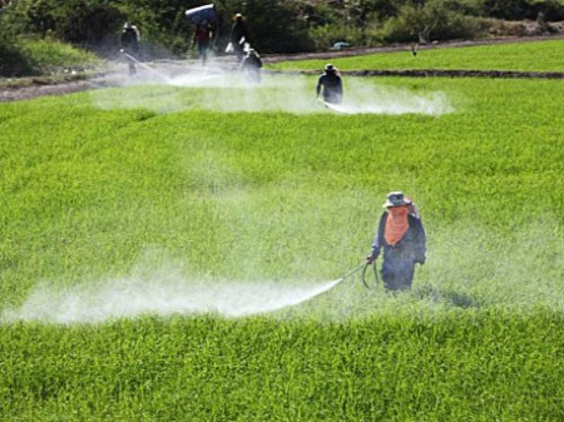 Crop Protection Chemicals Market