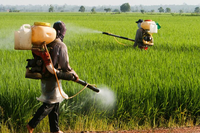 Crop Protection Chemicals