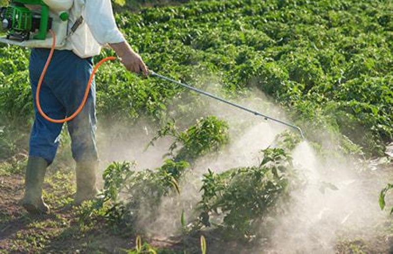 Crop Protection Chemicals Market 