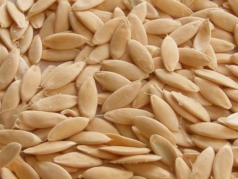 Cucumber Seed Market