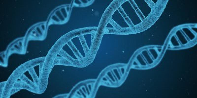 Cytogenetic Systems Market