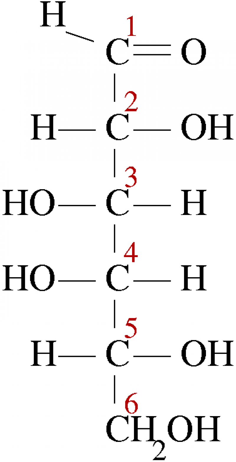 D-Galactose