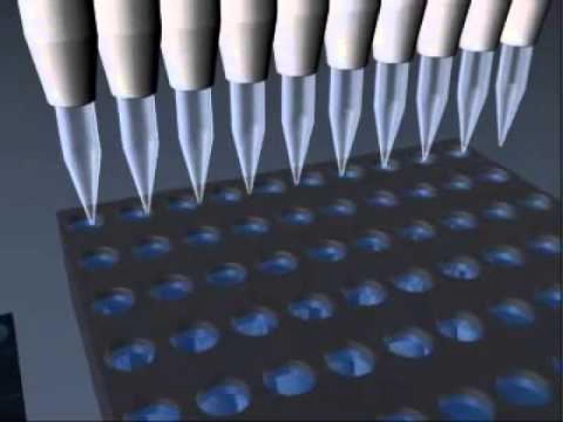 DNA Microarray Plate