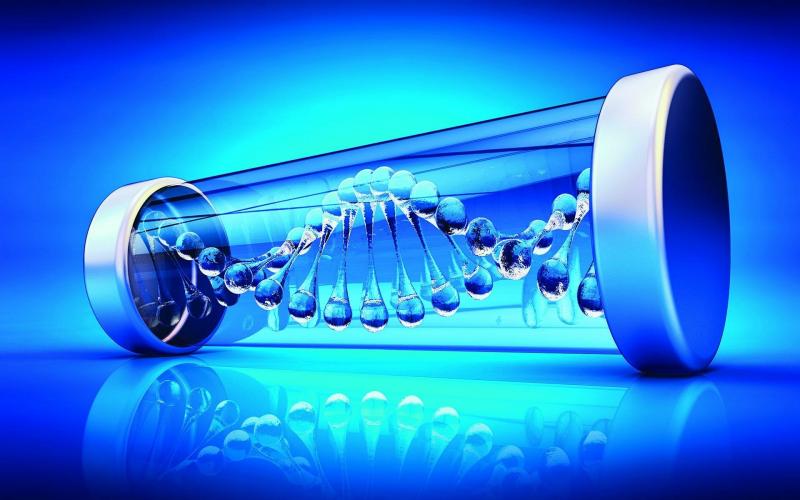 DNA Nanotechnology Market