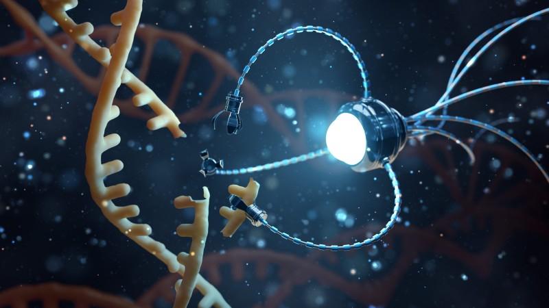 DNA Nanotechnology Market