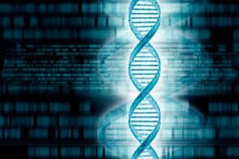 DNA Sequencing Market