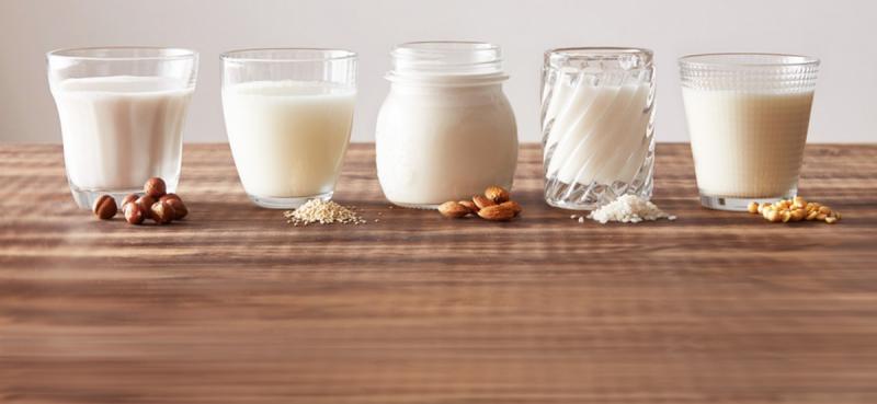 Dairy Alternatives Market
