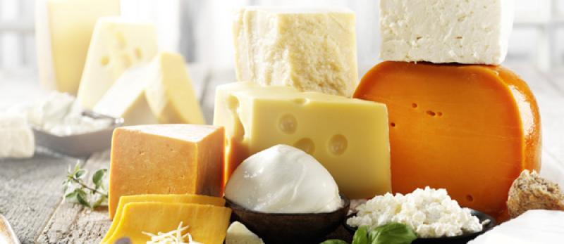 Dairy Cultures