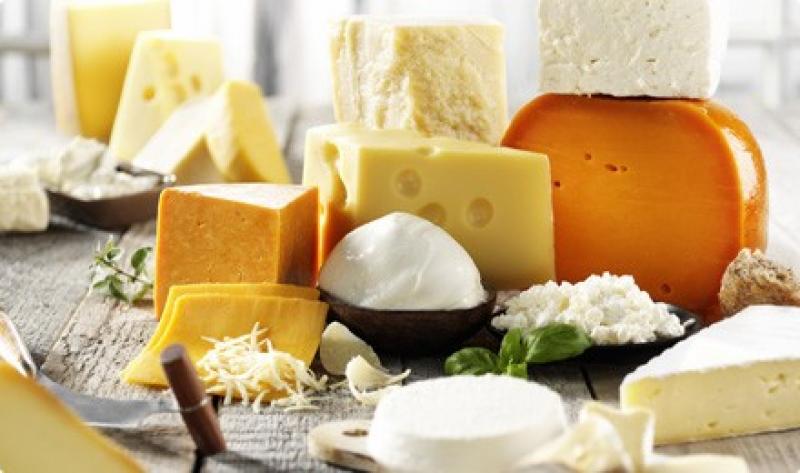  Dairy Enzymes