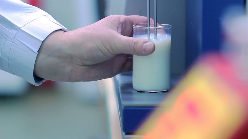 Dairy testing Market