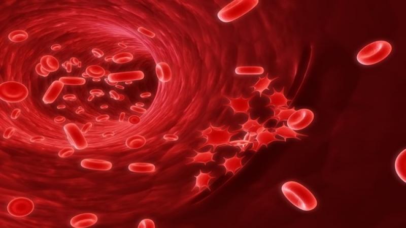 Ddimer Market 2018-2025 Growth, Trends and Demands Research Report Ddimer Market