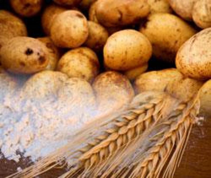 Dextrin Vegetable Adhesives Market