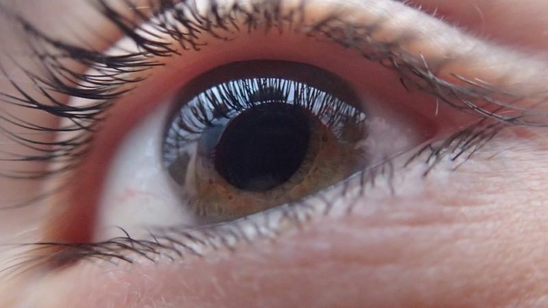 Diagnostic And Monitoring Ophthalmic Devices And Equipment Market Size, Share, Growth And Trends
