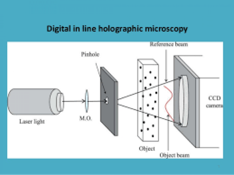 Digital Holographic Microscopy