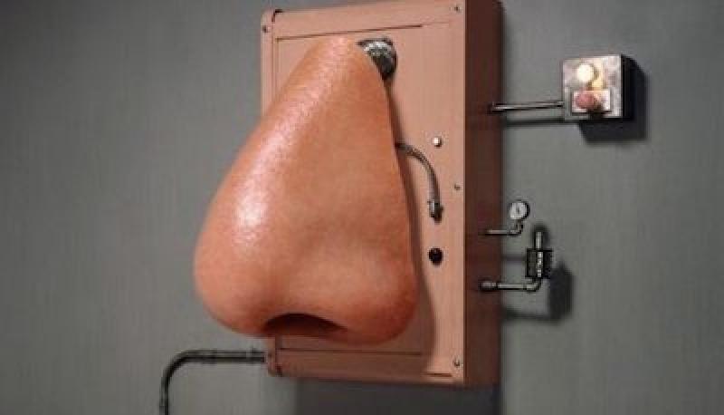 Digital Nose technology Market Forthcoming Developments, Growth Challenges, Opportunities 2025 Digital Nose technology Market