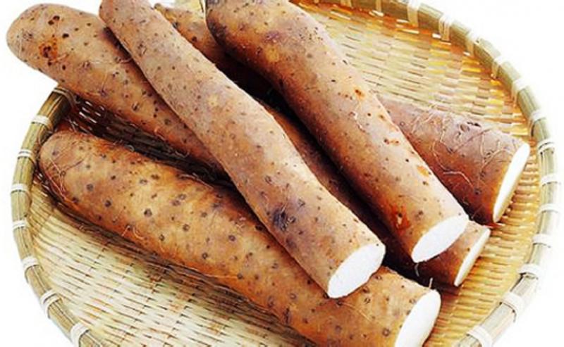 Dioscorea Opposide Market