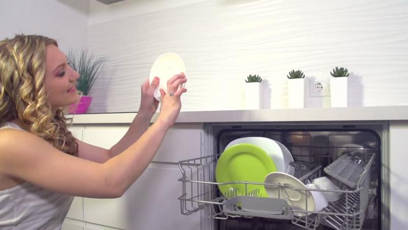 Dishwashers Market Share, Restraints, Segments And Regions