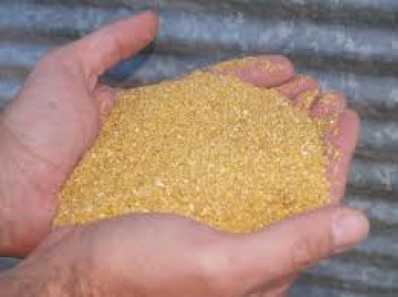 Global Distillers Grains Market Professional Survey Report 2018 Distillers Grains