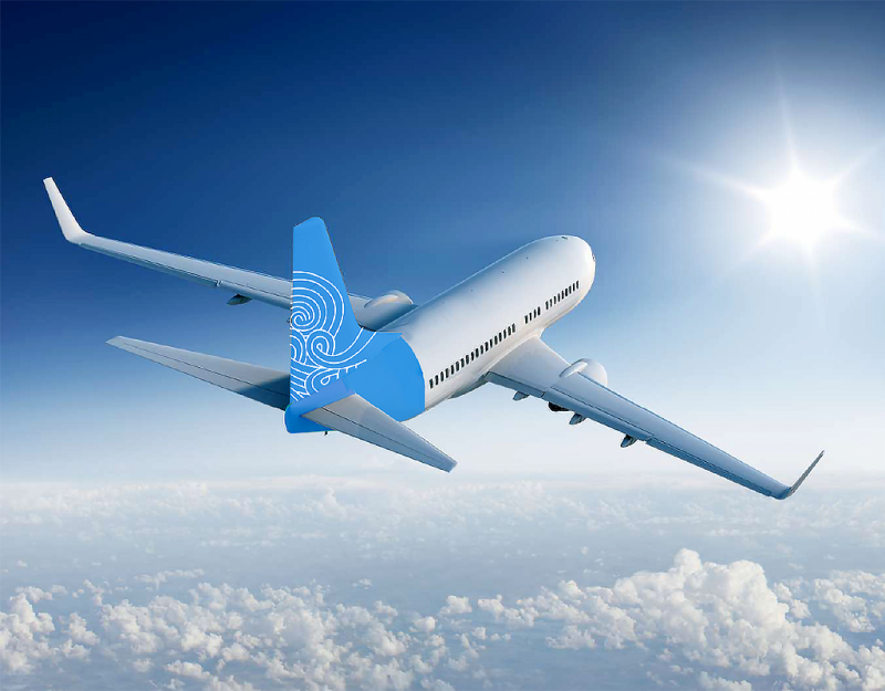 Domestic Aviation Market