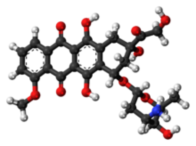 Doxorubicin