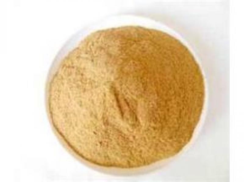 Dried Yeast market
