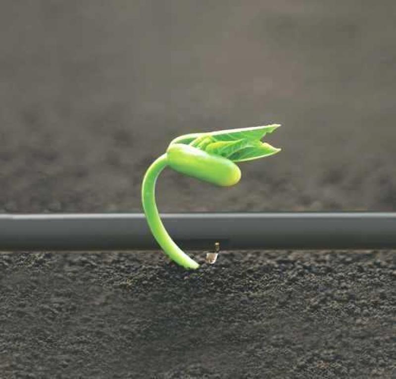 Drip Irrigation Tubes