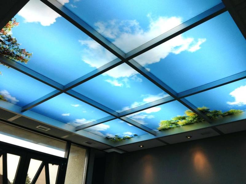 Drop Ceiling Tiles 