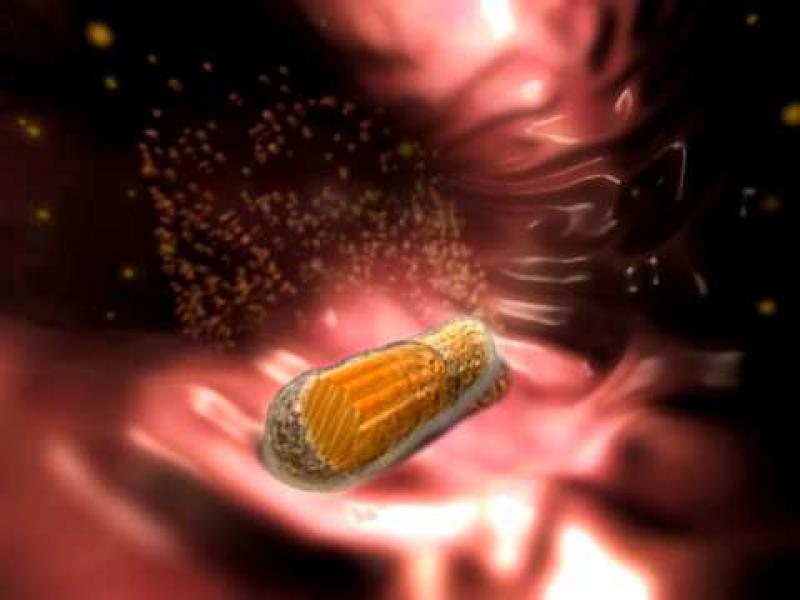 Drug-delivery Smart Pill
