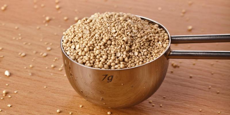 Dry Yeast