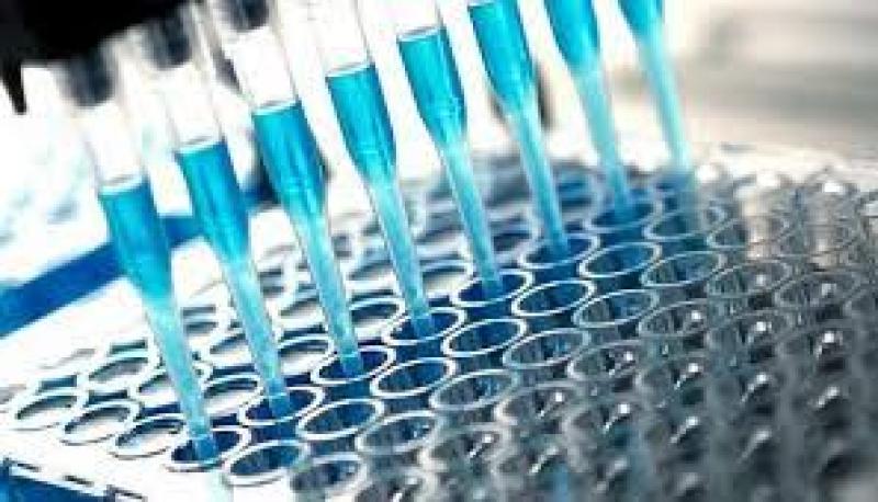 ELISA Reagents Market