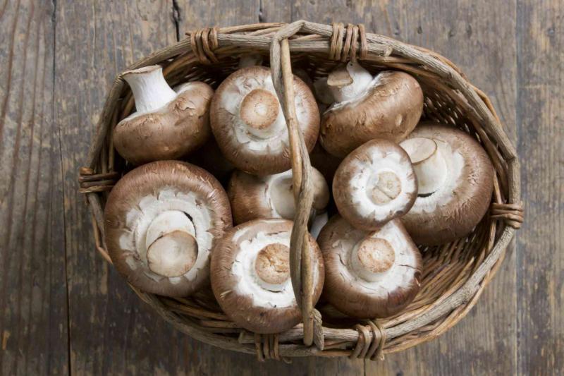 Edible Mushroom Market Sales, Demand Supply, Segments, Growth, Drivers and 2025 Forecast Report Edible Mushroom, Edible Mushroom Market, Edible Mushroom Market Growth, Edible Mushroom Market Share, Edible Mushroom Market Size