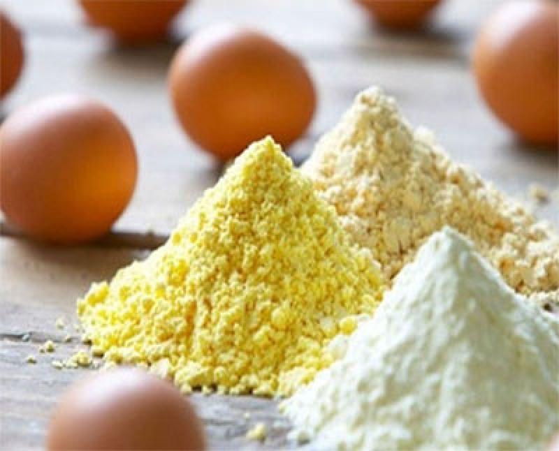 Egg Powder Market