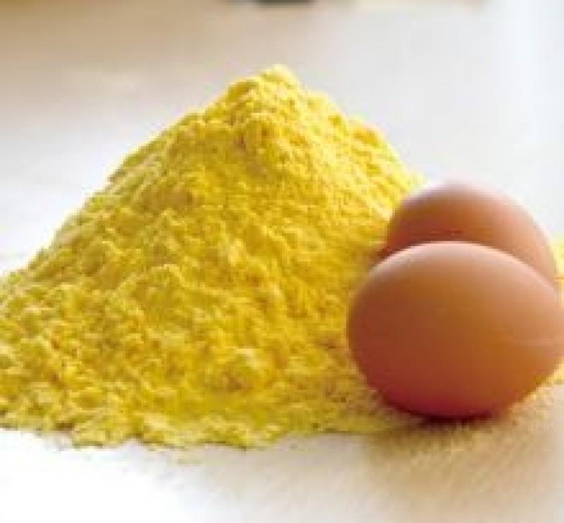 Egg Yolk Lecithin