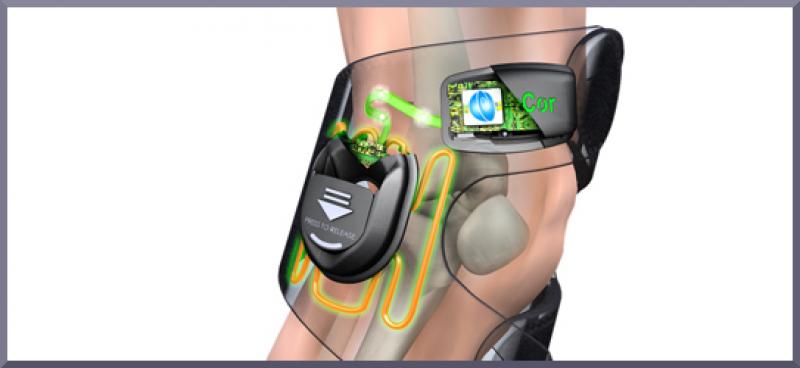 Electromagnetic Therapy Device