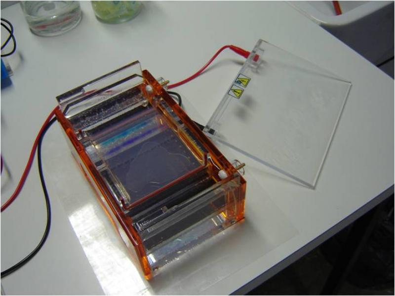 Electrophoresis apparatus Industry