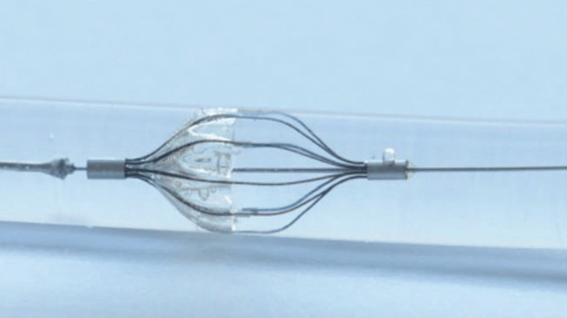 Embolic protection devices Market