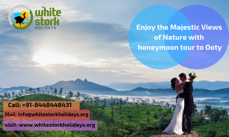 goa tour honeymoon packages