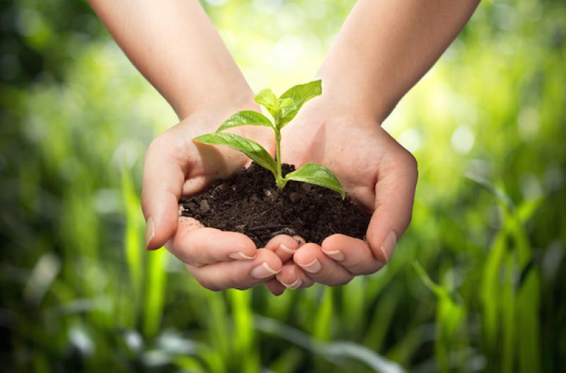 Environmental Management