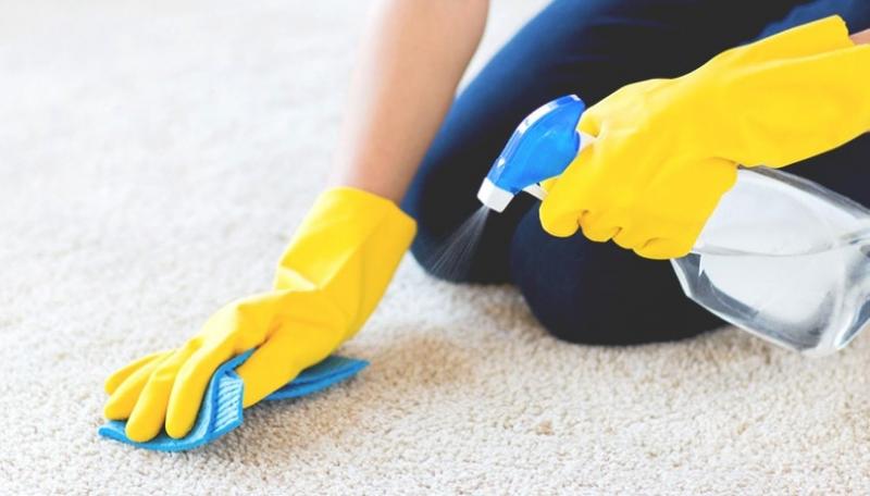 Enzymatic Cleaner Market