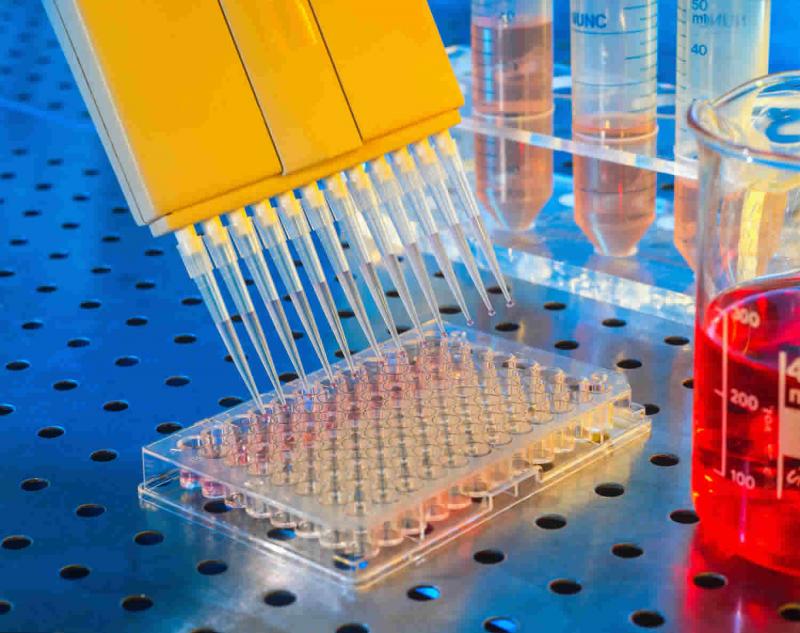 Enzyme Linked Immunosorbent Assay Market