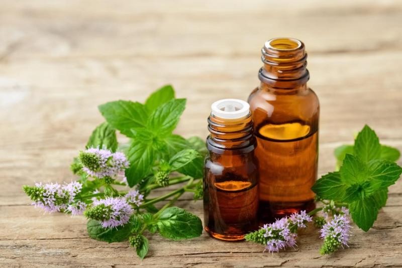 Essential Oil Market