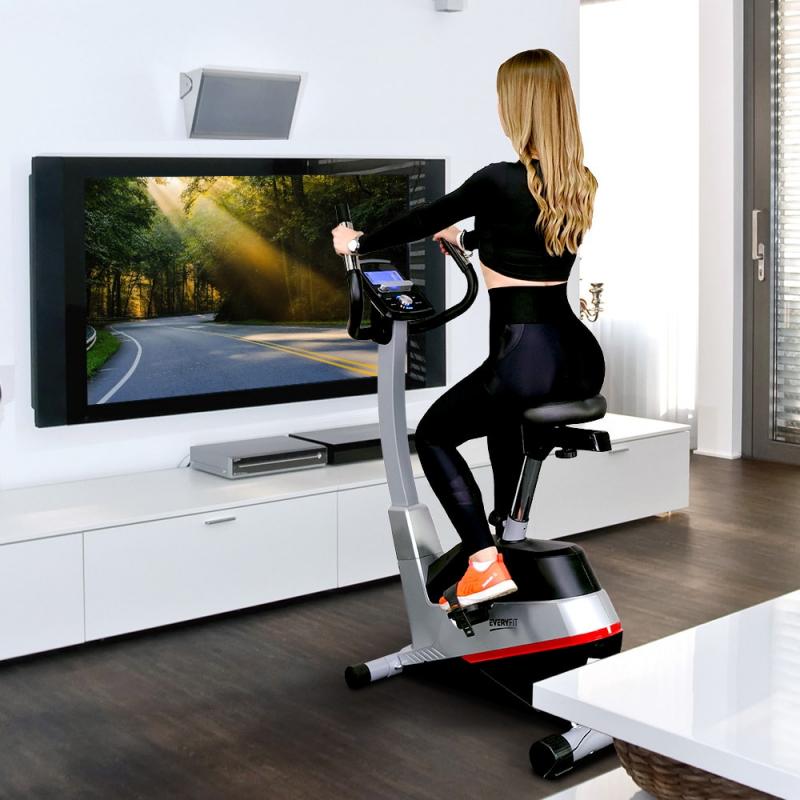 Europe Telerehabilitation Systems