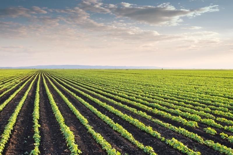 Farm Crop Insurance