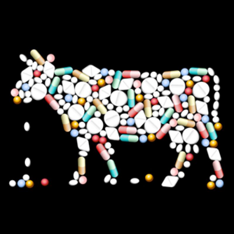  Feed Vitamins Sales Market 