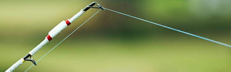 Fishing Lines 